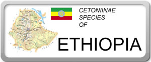 Ethiopia 