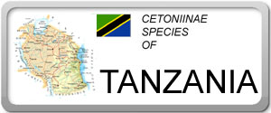 Tanzania 