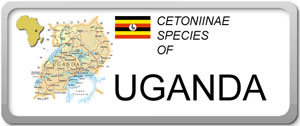 Uganda 