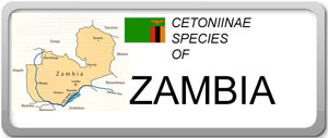 Zambia 